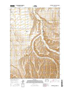 Butter Creek Junction 2017 topographic map thumbnail