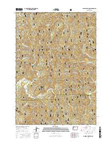 Cannibal Mountain 2017 topographic map thumbnail