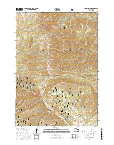 Canyon Mountain 2017 topographic map thumbnail