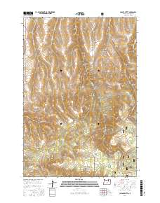Carney Butte 2017 topographic map thumbnail