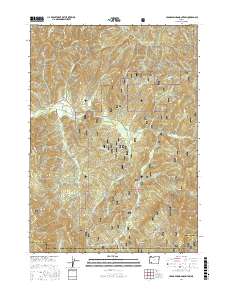 Cedar Springs Mountain 2017 topographic map thumbnail