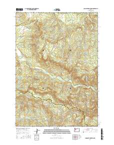 Chandler Mountain 2017 topographic map thumbnail
