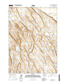 Chicago Valley 2017 topographic map thumbnail