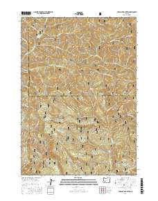 Chilcoot Mountain 2017 topographic map thumbnail
