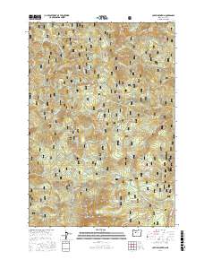 Coffin Mountain 2017 topographic map thumbnail