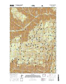 Elbow Creek 2017 topographic map thumbnail