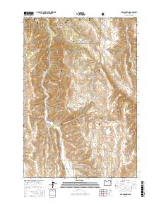 Elk Mountain 2017 topographic map thumbnail