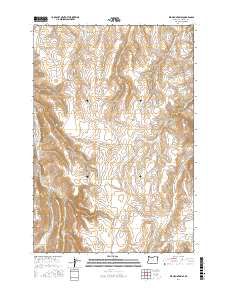 Elk Mountain SE 2017 topographic map thumbnail