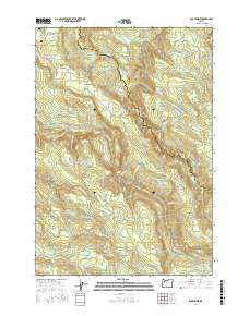 Elk Prairie 2017 topographic map thumbnail