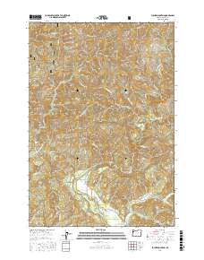 Euchre Mountain 2017 topographic map thumbnail