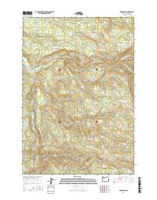 Fernwood 2017 topographic map thumbnail