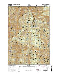 Fish Creek Mountain 2017 topographic map thumbnail