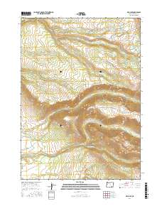 Fish Lake 2017 topographic map thumbnail