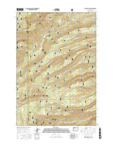 Fivemile Butte 2017 topographic map thumbnail
