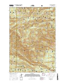Flag Point 2017 topographic map thumbnail
