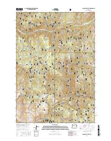 Flagstaff Butte 2017 topographic map thumbnail