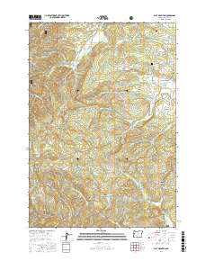 Flat Mountain 2017 topographic map thumbnail