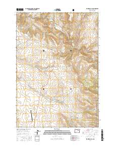 Flowers Gulch 2017 topographic map thumbnail