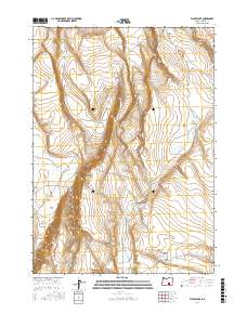 Flybee Lake 2017 topographic map thumbnail