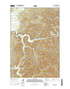 Foley Peak 2017 topographic map thumbnail