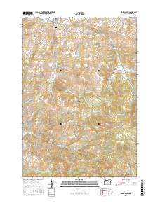 Fossil South 2017 topographic map preview