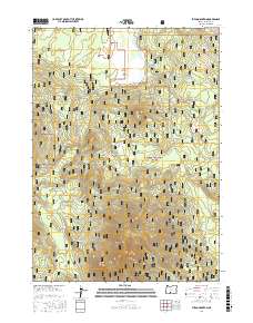Fuego Mountain 2017 topographic map thumbnail