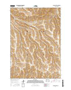 Gleason Butte 2017 topographic map thumbnail