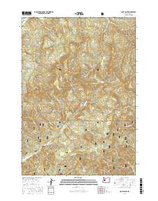 Goat Point 2017 topographic map thumbnail