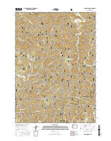 Goodwin Peak 2017 topographic map thumbnail