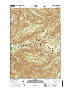 Government Camp 2017 topographic map thumbnail