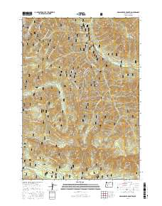 Grasshopper Mountain 2017 topographic map thumbnail