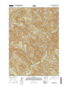 Harrington Creek 2017 topographic map thumbnail