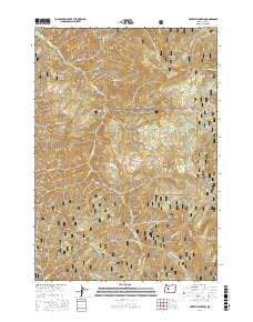 Harvey Mountain 2017 topographic map thumbnail
