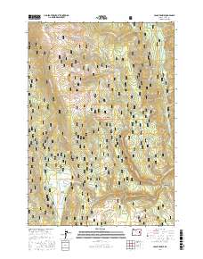 Crane Prairie 2017 topographic map thumbnail