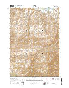 Daly Creek 2017 topographic map thumbnail