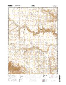 Deer Flat 2017 topographic map thumbnail