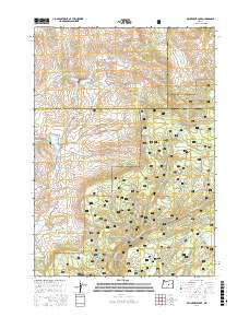 Delintment Lake 2017 topographic map thumbnail