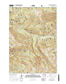Desolation Butte 2017 topographic map thumbnail