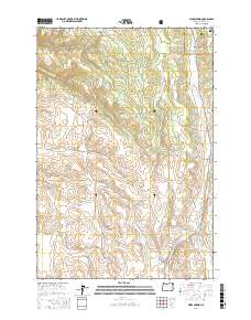 Hicks Spring 2017 topographic map thumbnail