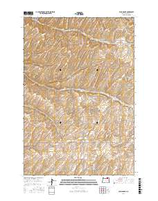 Holdman SE 2017 topographic map thumbnail