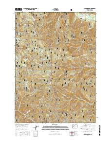 Holland Point 2017 topographic map thumbnail