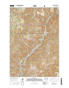 Homestead 2017 topographic map thumbnail