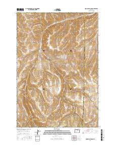 Hoodlum Canyon 2017 topographic map thumbnail