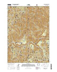 Illahee Rock 2017 topographic map thumbnail