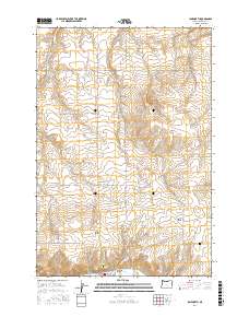 Ione North 2017 topographic map thumbnail