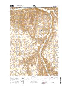 Ione South 2017 topographic map thumbnail