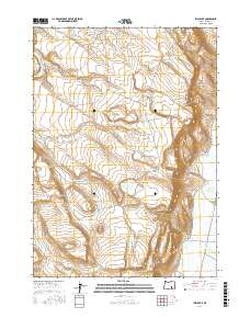 Irish Lake 2017 topographic map thumbnail