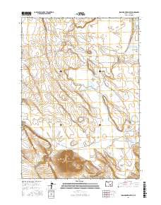Iron Mountain Flat 2017 topographic map thumbnail