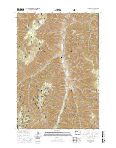 Jaynes Ridge 2017 topographic map thumbnail