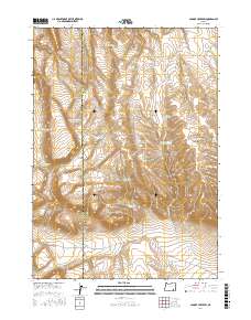 Johnny Creek SW 2017 topographic map thumbnail